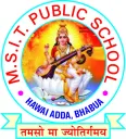 Msit Public School
