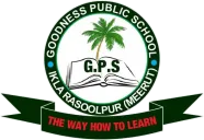Goodness Public School