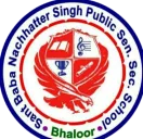 Sant Baba Nachhattar Singh Public School