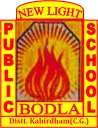 New Light Public School